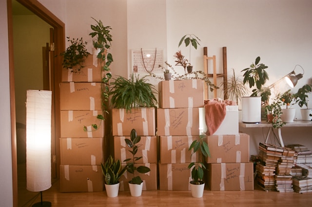 Move-In Cleaning for Rental Turnovers: A Step-by-Step Guide for Property Managers